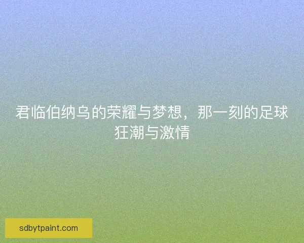 君临伯纳乌的荣耀与梦想，那一刻的足球狂潮与激情