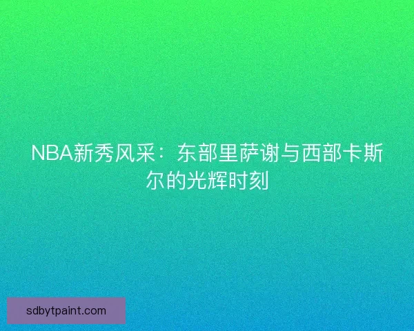 NBA新秀风采：东部里萨谢与西部卡斯尔的光辉时刻