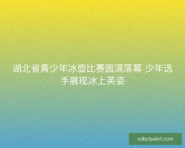 湖北省青少年冰壶比赛圆满落幕 少年选手展现冰上英姿