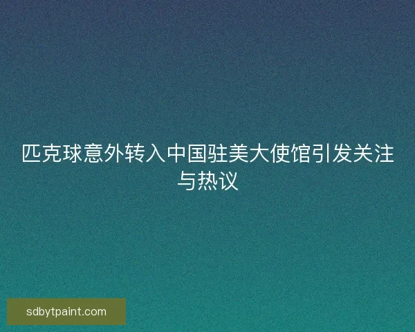 匹克球意外转入中国驻美大使馆引发关注与热议