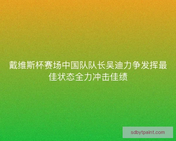 戴维斯杯赛场中国队队长吴迪力争发挥最佳状态全力冲击佳绩