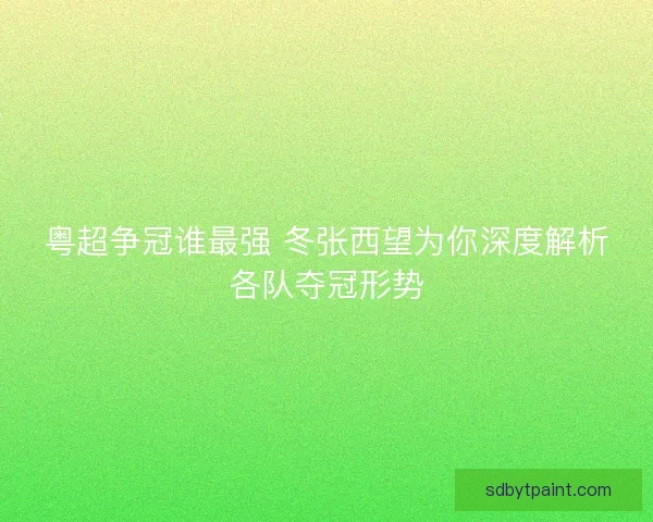 粤超争冠谁最强 冬张西望为你深度解析各队夺冠形势