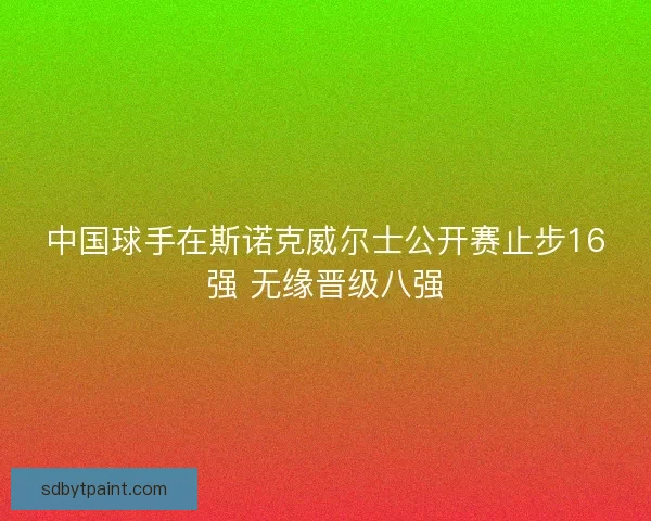 中国球手在斯诺克威尔士公开赛止步16强 无缘晋级八强
