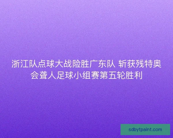 浙江队点球大战险胜广东队 斩获残特奥会聋人足球小组赛第五轮胜利