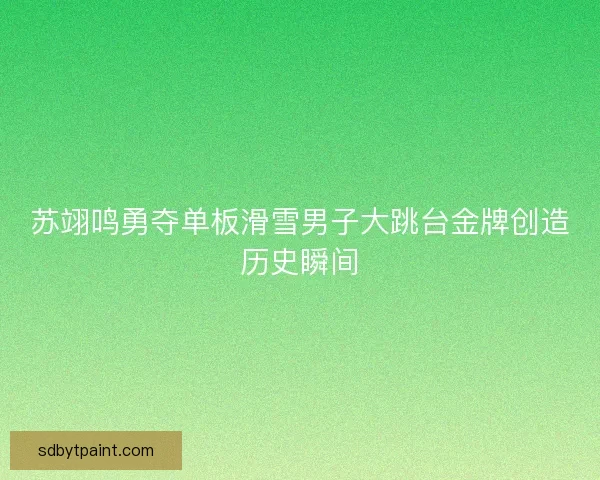 苏翊鸣勇夺单板滑雪男子大跳台金牌创造历史瞬间