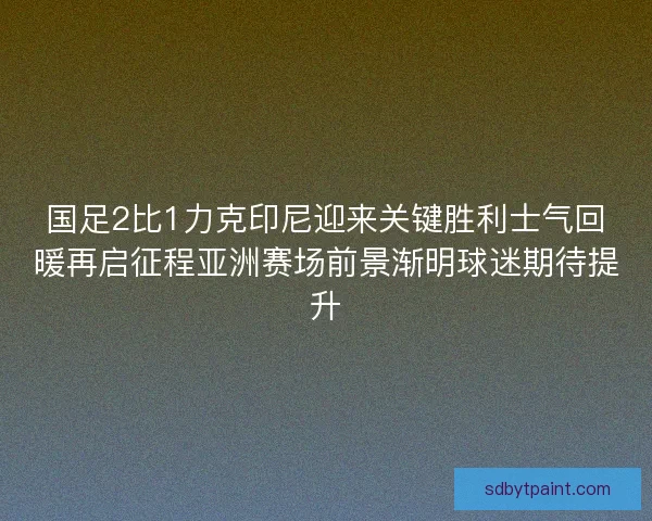 国足2比1力克印尼迎来关键胜利士气回暖再启征程亚洲赛场前景渐明球迷期待提升