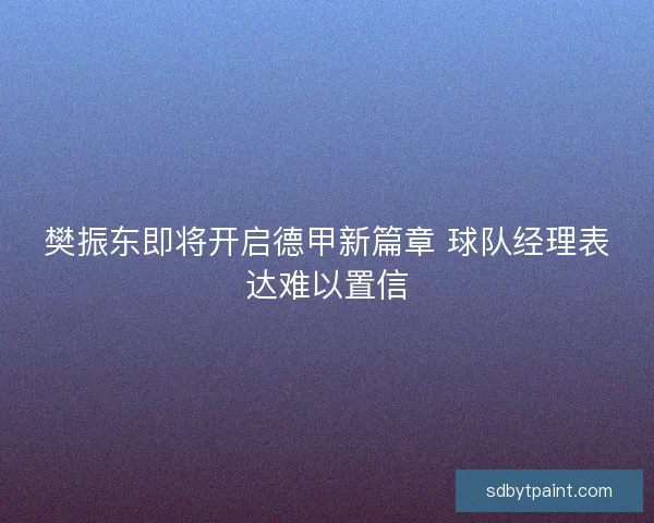 樊振东即将开启德甲新篇章 球队经理表达难以置信